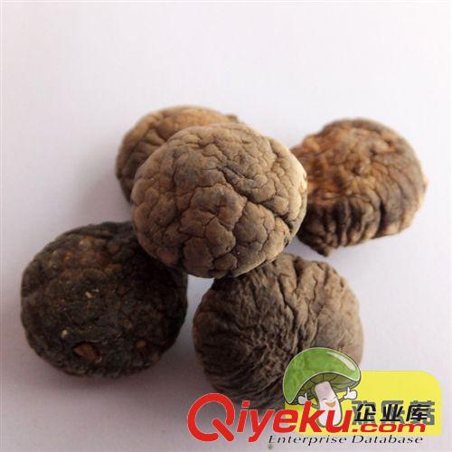 專業生產香菇干貨小香菇 菇農直銷河北香菇 廣東A級冬菇原始圖片3