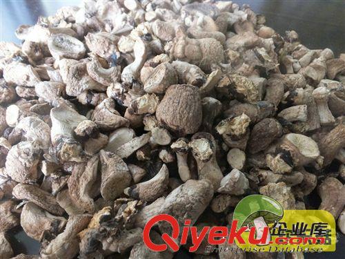 專業生產香菇干貨小香菇 菇農直銷河北香菇 廣東A級冬菇