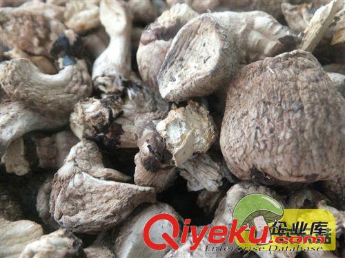 香菇腿批發商供應 單剪香菇腿 歡樂菇干貨 散裝野生 隨州香菇柄原始圖片2