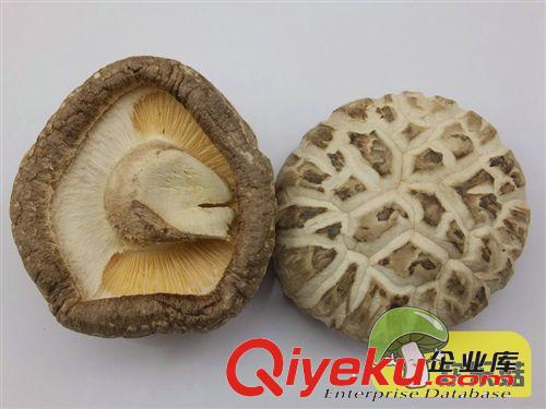 產(chǎn)地直銷香菇多糖專用定制干花菇 房縣香菇 4cm以上{dj0}白花菇原始圖片2