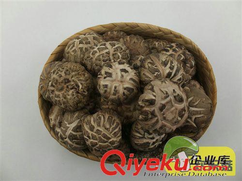 自產自銷{dj0}茶花菇3-4cm 江蘇代料花菇 棚栽冬菇原始圖片3