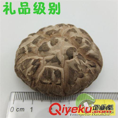 閩清特產香菇 香菇干貨批發商行專用 干香菇行情原始圖片2