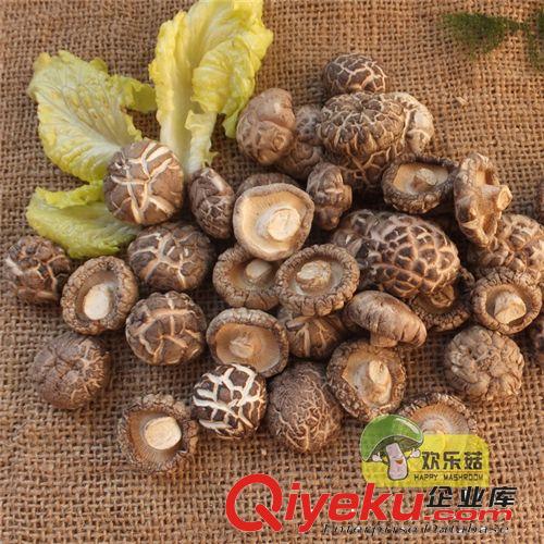 廠家專業生產批發河北香菇干 普通級香菇 花菇 冬菇