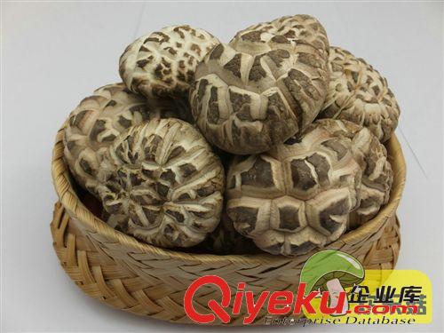產地直銷 {dj0}白花菇 泌陽花菇 冬菇 花菇出口食品營養{zg}原始圖片3