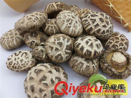 廠家供應 土特產食用菌 {dj0}白花菇 中花菇 泌陽花菇【價格實惠】原始圖片2
