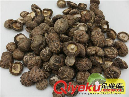 3cm以下B級香菇/花菇/冬菇/屏南香菇直銷/zyjl 臺灣香菇