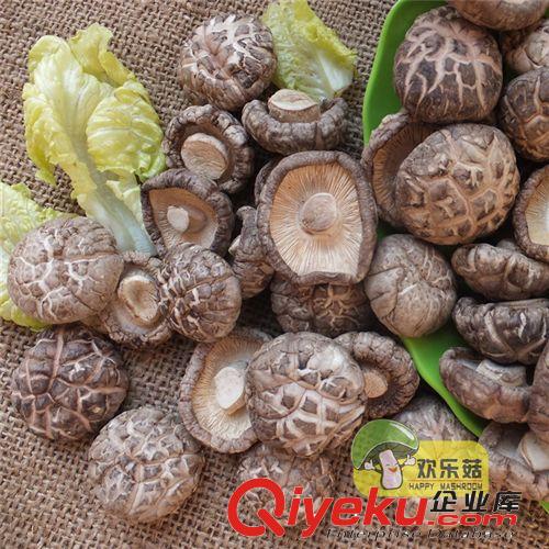 春栽花菇/茶花菇/出口泰國冬菇/支持OEM/產地批發價