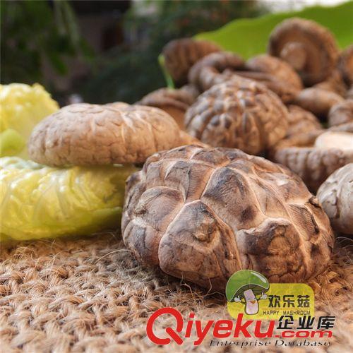 湖南特產/自然曬干一級花菇/2014大香菇/大量批發/香菇人香菇直供原始圖片2