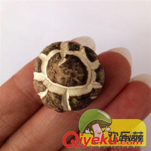 直銷(xiāo)供應(yīng)有機(jī)冬菇 出口香港花菇 河南特產(chǎn)香菇冒 香菇腿批發(fā)