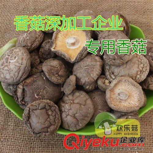 直銷(xiāo)供應(yīng)有機(jī)冬菇 出口香港花菇 河南特產(chǎn)香菇冒 香菇腿批發(fā)原始圖片2