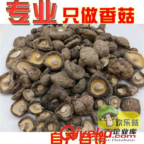 產(chǎn)地直供  gd產(chǎn)品統(tǒng)裝新鮮香菇 東北香菇 冬菇