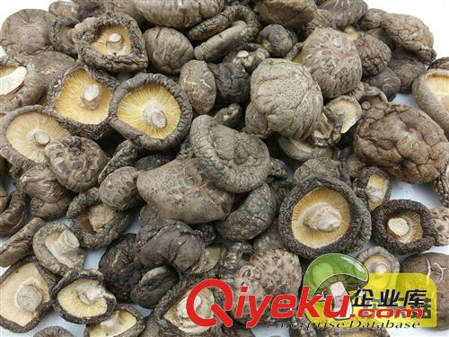 一級(jí)香菇批發(fā)商 專業(yè)生產(chǎn) 浙江新鮮剪腳冬菇  香菇批發(fā)