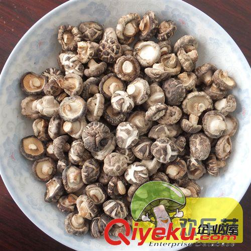 廠家專業生產供應香菇干貨 金錢菇 小花菇干貨批發商行專用香菇原始圖片2