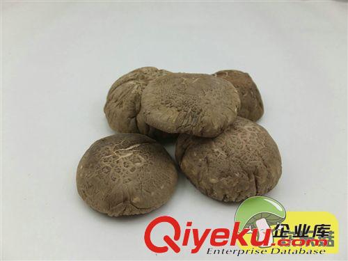 專業生產香菇干貨小香菇 菇農直銷河北香菇 廣東A級冬菇