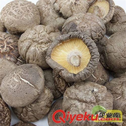 農家自種gd產品一級冬菇干 中國特產食用菌{dj0}厚菇批發原始圖片2
