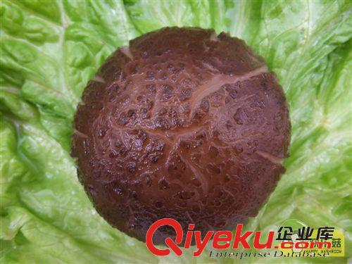 農家自種gd產品一級冬菇干 中國特產食用菌{dj0}厚菇批發原始圖片3