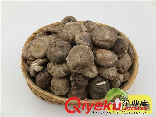 農家自種gd產品一級冬菇干 中國特產食用菌{dj0}厚菇批發
