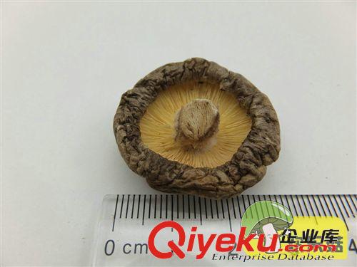 自產自銷 健康食品 {dj0}厚菇 三里崗冬菇 高級禮品3cm以下原始圖片3