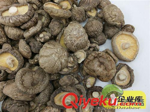 土特產統貨 收購香菇 綠色食品脫水香菇 送禮送壽鄉禮品