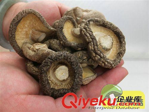 土特產統貨 收購香菇 綠色食品脫水香菇 送禮送壽鄉禮品原始圖片3