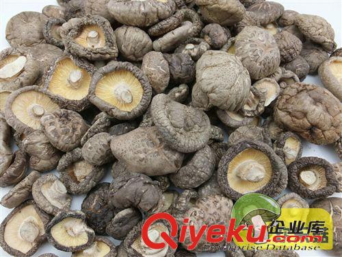 【綠色健康食品】小額批發 椴木香菇湖南香菇 冬菇 花菇批發原始圖片2