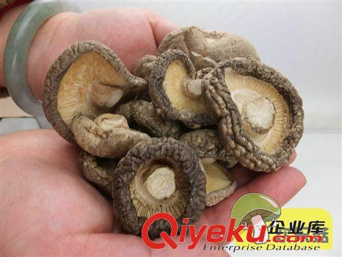 【綠色健康食品】小額批發 椴木香菇湖南香菇 冬菇 花菇批發原始圖片3