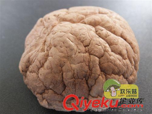 西峽香菇批發 香菇多糖用4cm以上大香菇 原產地供應原始圖片2