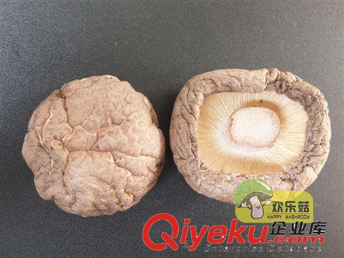 西峽香菇批發 香菇多糖用4cm以上大香菇 原產地供應原始圖片3