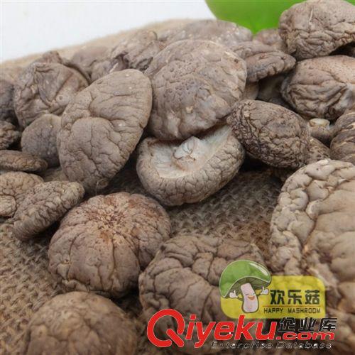 廠(chǎng)家生產(chǎn)剪腳小香菇 切足小冬菇 金錢(qián)菇 食用菌批發(fā)