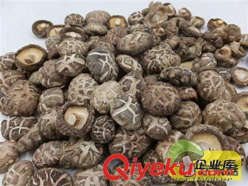 農(nóng)家自種 北京{dj0}茶花菇 金錢菇紐扣菇 冷凍香菇原始圖片2