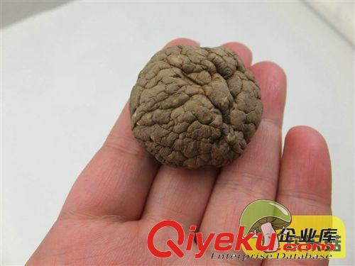 農(nóng)家自種切足{dj0}厚菇3-5cm {dj0}冬菇香菇批發(fā) 花菇干貨原始圖片2