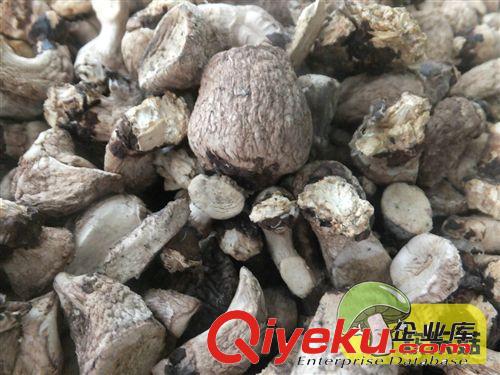 熱銷推薦隨州香菇腿 有機香菇腿 雙剪香菇腿 食用菌批發