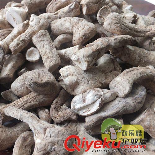農(nóng)家自種/昆明香菇腳 有機香菇腿/云南特產(chǎn)/雙剪香菇腿/廠家批發(fā)原始圖片2
