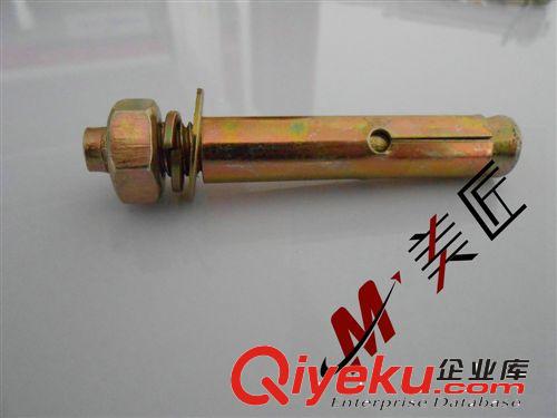 廠家供應 吸塑燈箱安裝膨脹螺絲 拉爆螺絲 量大從優原始圖片2