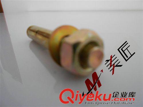 廠家供應 吸塑燈箱安裝膨脹螺絲 拉爆螺絲 量大從優原始圖片3