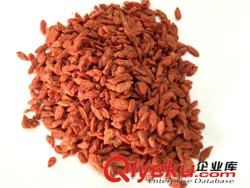 供應 質量好 市場暢銷  使用  產地直銷  夏天專用  杭州菊花