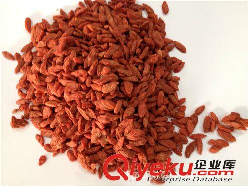 供應 質量好 市場暢銷 產地直銷  推薦  煲湯專用 寧夏枸杞原始圖片2