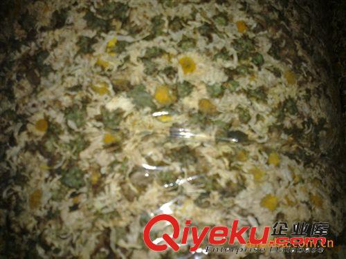 供應 質量好 市場暢銷  使用  產地直銷  夏天專用  杭州菊花