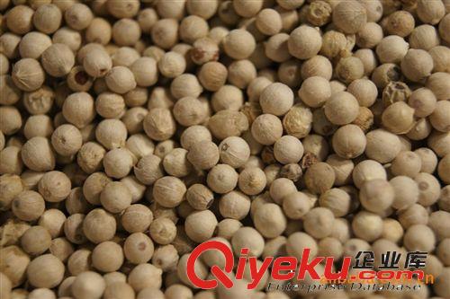 供應(yīng)白胡椒 好胡椒 味道香 產(chǎn)地的好胡椒 豬肚煲最常用香料 胡椒原始圖片2