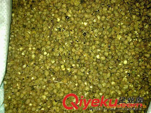 供應(yīng) {zh0}的調(diào)味香料 青色 好用 價格低  味道好 青花椒 暢銷