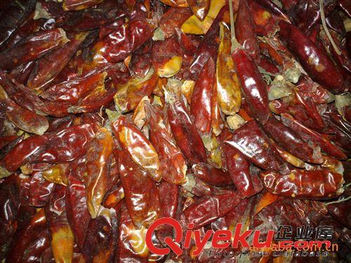 供應(yīng)湖南四川特產(chǎn) 夠辣 色澤好 市場暢銷 酸菜魚{zh0}用   辣椒王