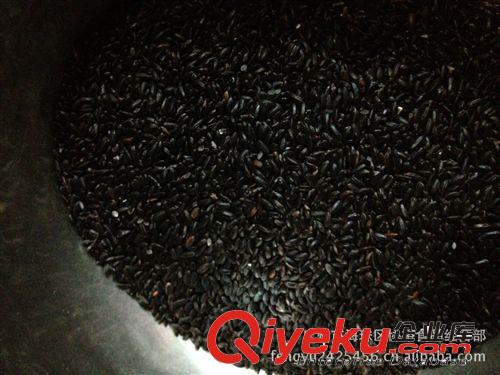 供應(yīng) 質(zhì)量好 市場(chǎng)暢銷 夏天專用  實(shí)惠 產(chǎn)地直銷  黑米原始圖片3