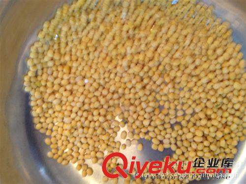 供應(yīng) 質(zhì)量好 市場(chǎng)暢銷  實(shí)惠粽子專用  人人喜歡  推薦 糯米
