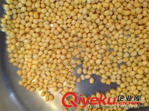 供應(yīng) 夏天暢銷  暢銷  無(wú)碎粒 產(chǎn)地直銷   好吃  批發(fā) 去皮綠豆原始圖片2