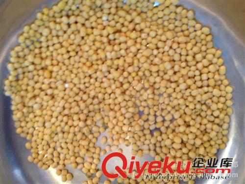 供應(yīng) 夏天暢銷  暢銷  無(wú)碎粒 產(chǎn)地直銷   好吃  批發(fā) 去皮綠豆原始圖片3