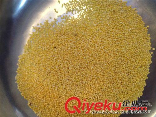 供應(yīng) 產(chǎn)地直銷 暢銷 庫(kù)存多 價(jià)格低 夏天暢銷  小米 小米粥原始圖片3