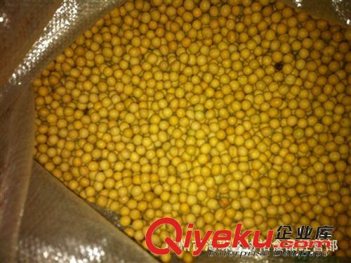 供應(yīng) 黑龍江產(chǎn)地  大黃豆 50斤包裝 100斤包裝 磨豆?jié){  超市 黃豆