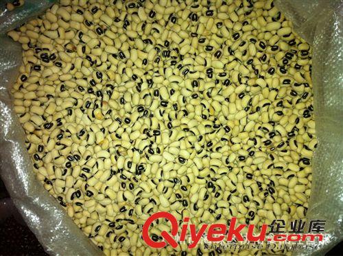 供應 產地直銷 廣州大豆產地 暢銷  夏天暢銷 人人愛 眉豆 推薦原始圖片2