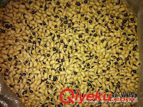 供應 產地直銷 廣州大豆產地 暢銷  夏天暢銷 人人愛 眉豆 推薦原始圖片3