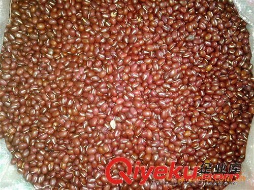 供應紅豆 廠家直銷 貨源充足 顆粒均勻 推薦優惠價 價格{zd1} 紅豆原始圖片2